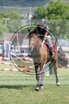 ref. photo 3705560