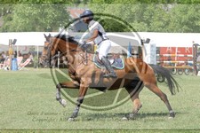 ref. photo 3705610