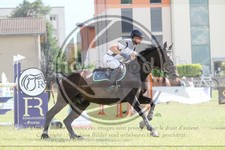 ref. photo 3705622