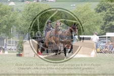 ref. photo 3705636