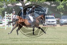 ref. photo 3705696
