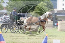 ref. photo 3705703