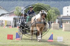 ref. photo 3705704