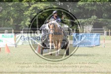 ref. photo 3705709