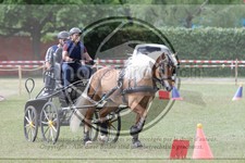 ref. photo 3705729