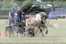 ref. photo 3705730