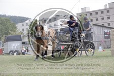 ref. photo 3705740