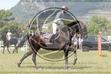 ref. photo 3705994