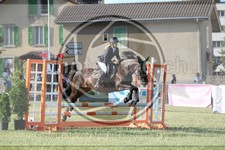 ref. photo 3706012
