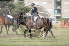 ref. photo 3706016