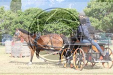 ref. photo 3706018