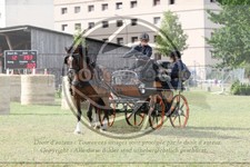 ref. photo 3706019