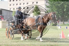 ref. photo 3706020