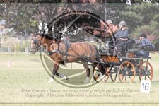 ref. photo 3706021