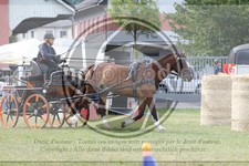 ref. photo 3706024