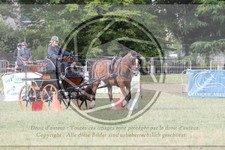 ref. photo 3706025