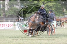 ref. photo 3706026