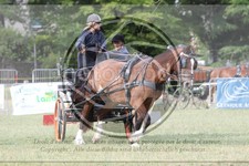 ref. photo 3706027