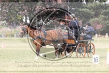 ref. photo 3706029
