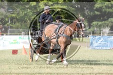 ref. photo 3706033