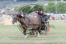 ref. photo 3706034