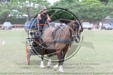ref. photo 3706035