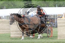 ref. photo 3706044