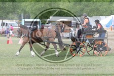 ref. photo 3706046