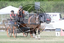 ref. photo 3706047