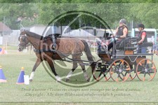 ref. photo 3706049