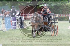 ref. photo 3706051