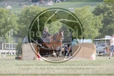 ref. photo 3706054