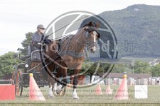 ref. photo 3706056