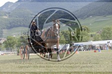 ref. photo 3706057