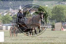 ref. photo 3706058