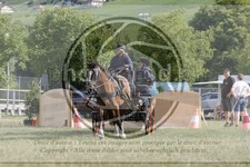 ref. photo 3706059