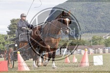 ref. photo 3706060