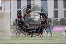 ref. photo 3706063