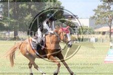 ref. photo 3706074