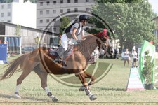 ref. photo 3706091