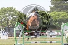 ref. photo 3706129