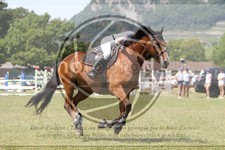ref. photo 3706130