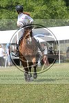 ref. photo 3706132