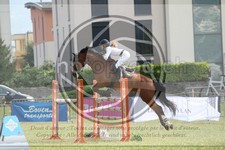 ref. photo 3706142