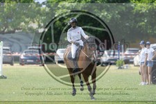 ref. photo 3706144
