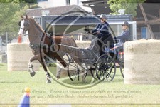 ref. photo 3706145