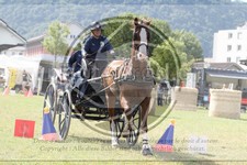 ref. photo 3706147
