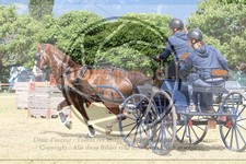 ref. photo 3706148