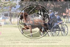ref. photo 3706149