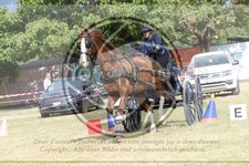 ref. photo 3706150